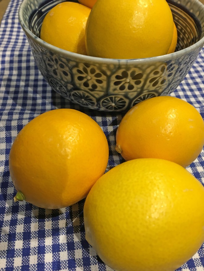 Photo Jan 30, 7 38 09 PM.jpg